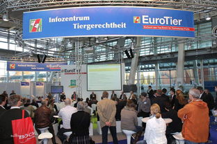 會展服務(wù)中的網(wǎng)絡(luò)布線安裝 關(guān)鍵步驟與最佳實踐